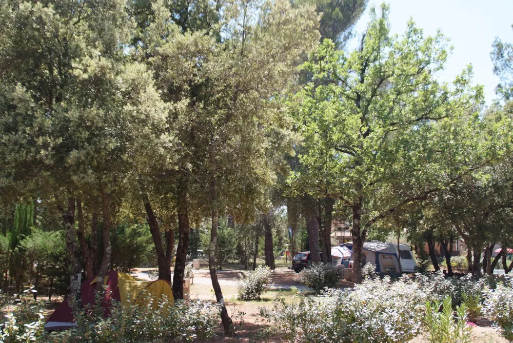 Emplacement - Forfait Emplacement Xl  (1 Tente, Caravane Ou Camping-Car / 1 Voiture / Électricité 10A) - Camping Le Relais de la Bresque