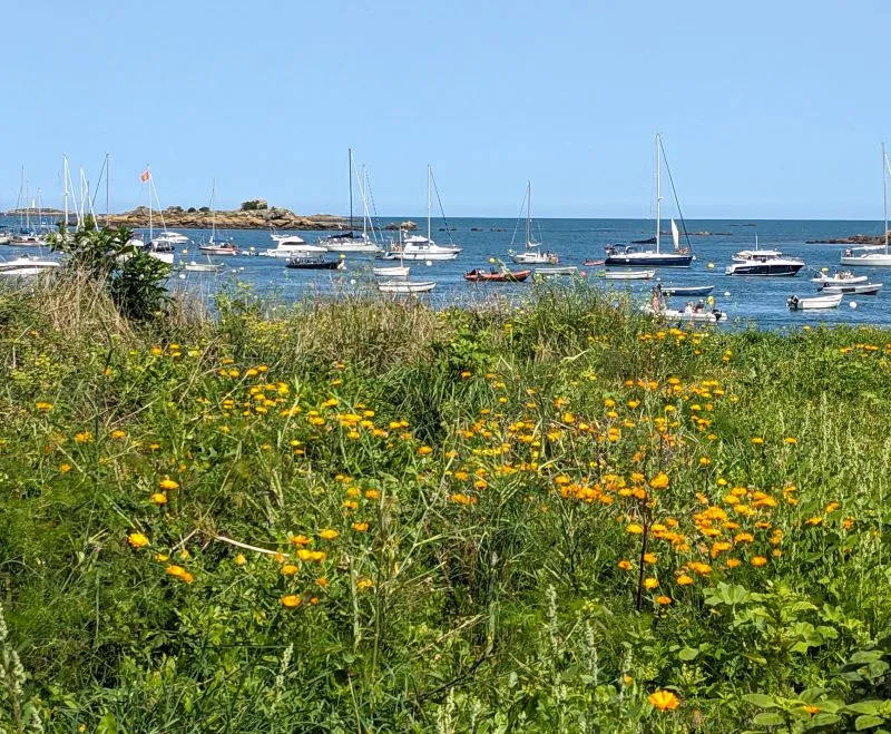 Camping Les Mouettes