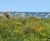 Foto #26 van Camping Les Mouettes