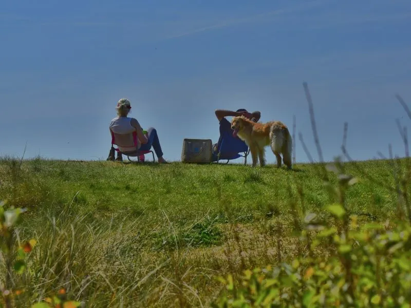 Camping Les Mouettes