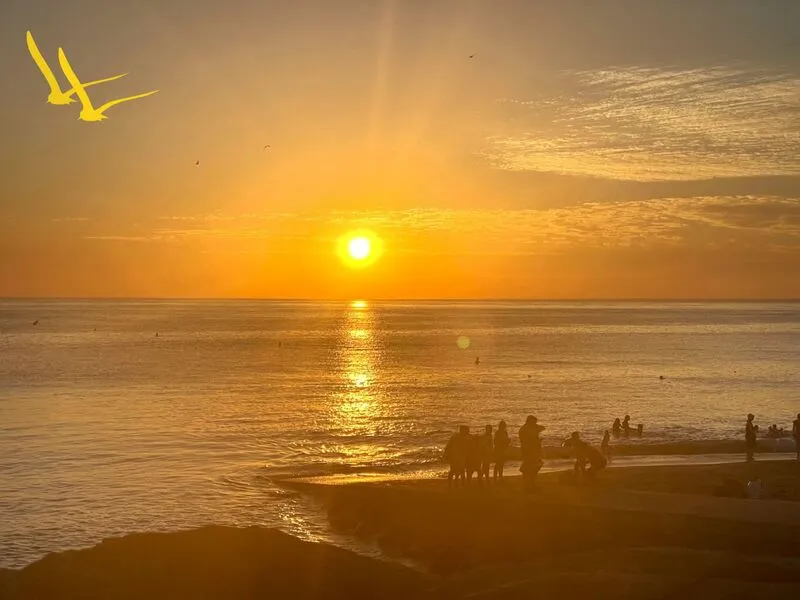 Camping Les Mouettes