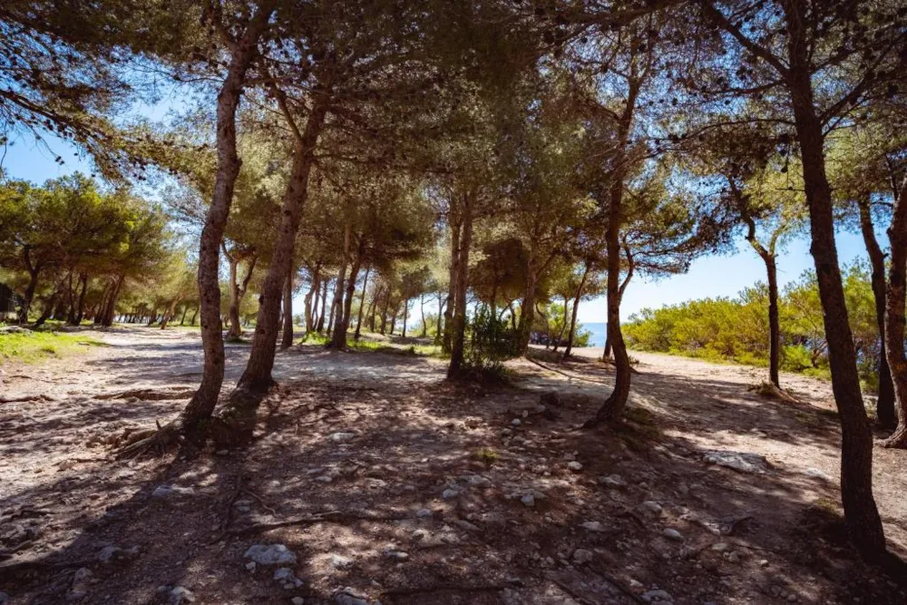 Camping Les Tamaris