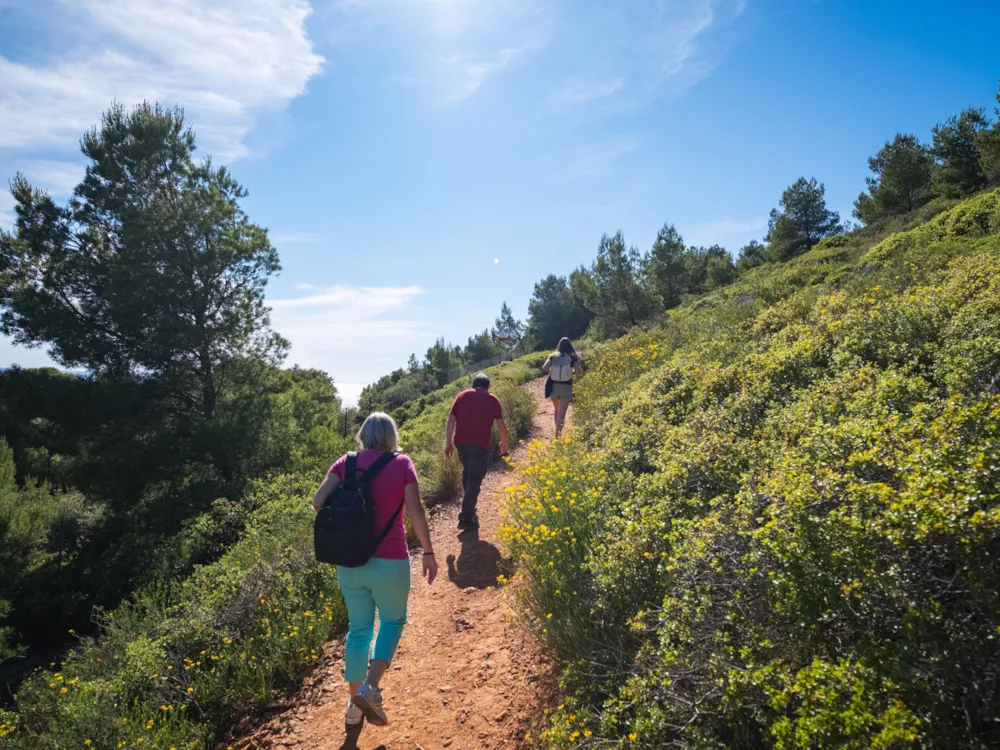 Camping Les Tamaris
