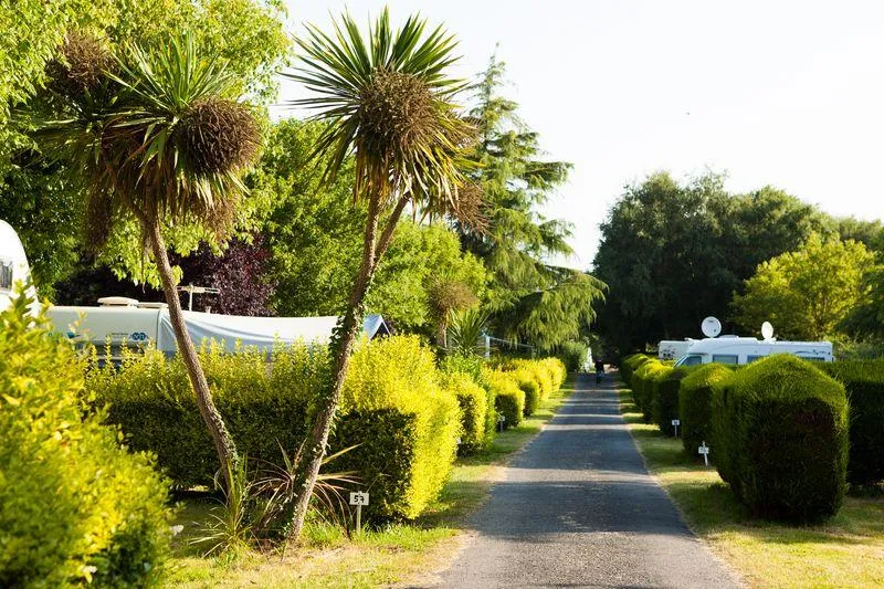 Emplacement De Camping: Tente/Caravane/Camping-Car.Adultes,Enfants,Voiture,Elect Sont En Supplément