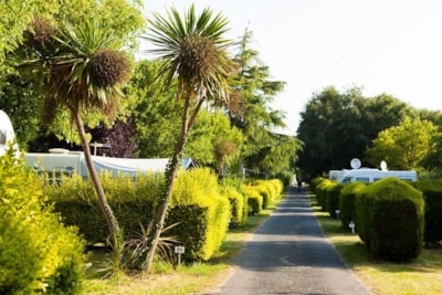 Pitch: tent, caravan or camper-van(6 people max). Adults,children,car,electricity are extra costs — 4