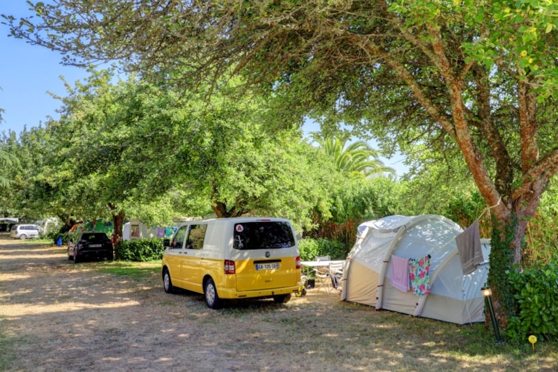 Emplacement de camping: tente/caravane/camping-car.Adultes,enfants,voiture,elect sont en supplément