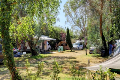 Pitch: tent, caravan or camper-van(6 people max). Adults,children,car,electricity are extra costs — 2
