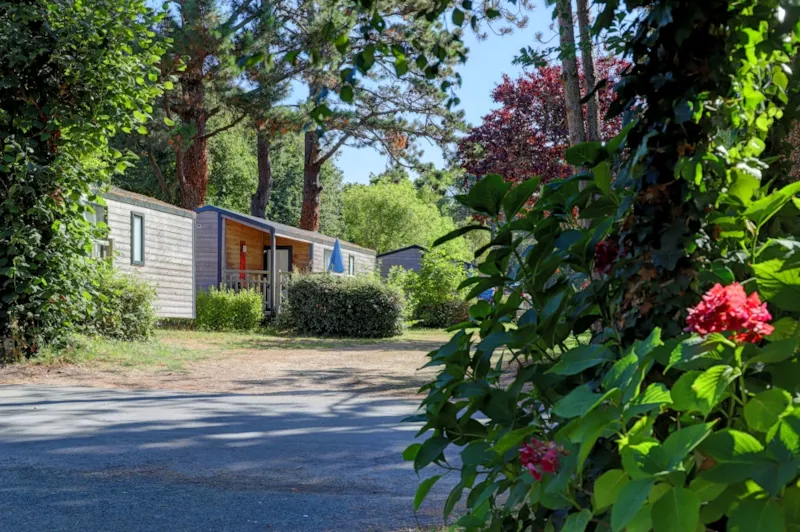 Chalet Club - 35M² - 2 Chambres - 3/5 Pers + Terrasse Couverte -