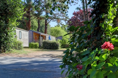 Chalet CLUB  35m² - 2 bedrooms - 3/5 people max- sheltered terrace — 4