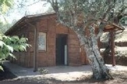 Chalet — 9