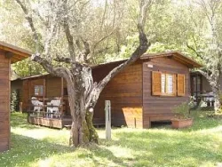 Mietunterkunft - Mobilhome - Azzurro Camping Village