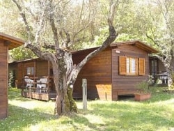 Mobilhome — 2