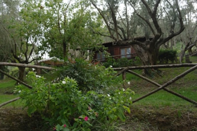 Chalet — 3