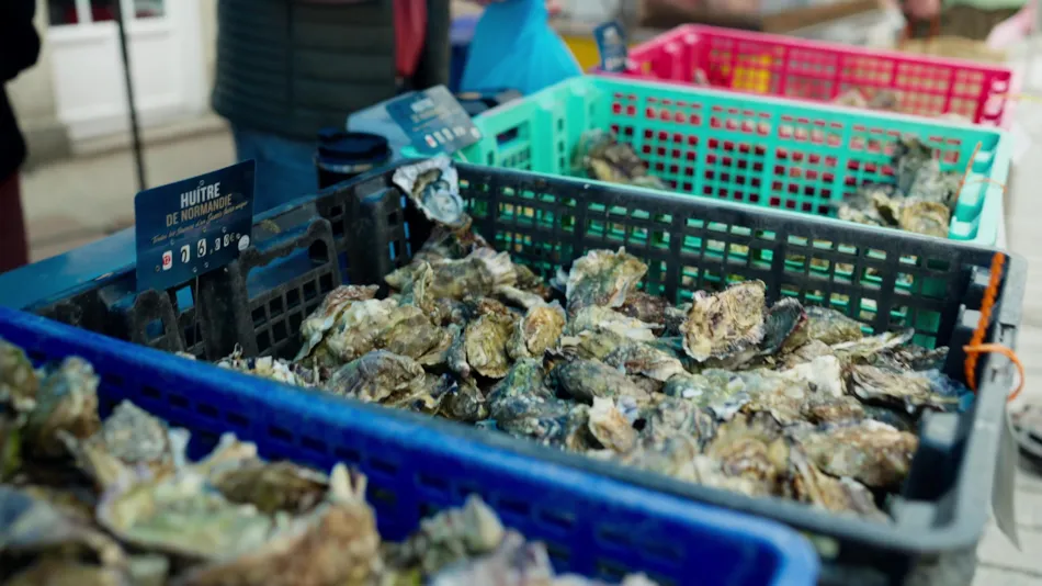 Camping La Gallouette