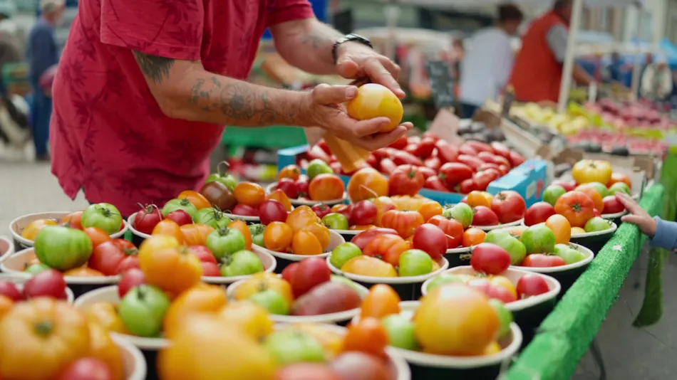 Camping La Gallouette