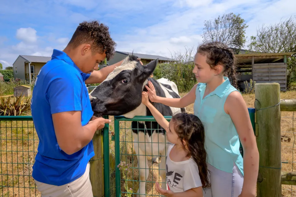 Camping Paradis UTAH-BEACH