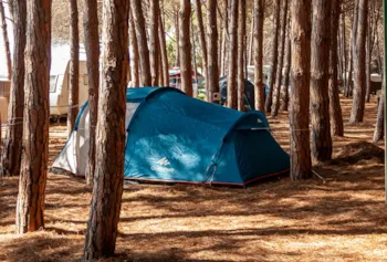 Stellplatz - Regular < 16 M² - Camping Le Cernie