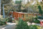 Camping Pionier Etrusco Camping Pionier Etrusco