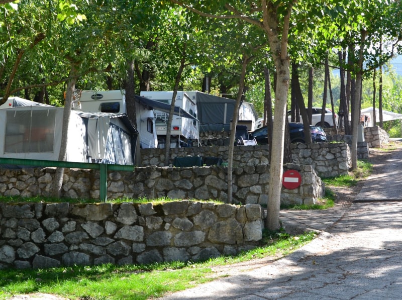 Emplacement Standard Forest - Petits vans (non accessible aux caravanes)
