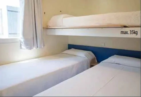 Bungalow Basic Family Forest