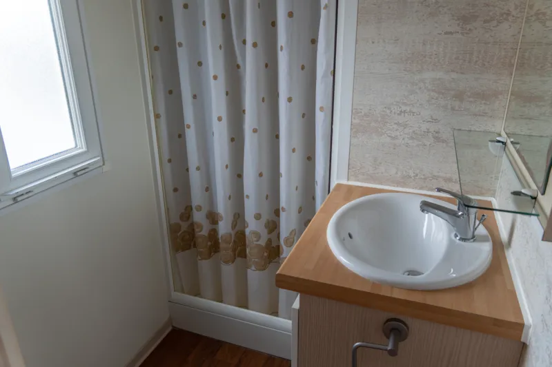 Bungalow Basic Family Forest