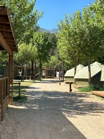 Mietunterkunft - Bell Tent - Wecamp Pedraforca