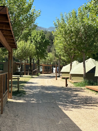BELL TENT — 2