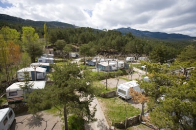 Pitch Plus Forest - Small caravans (max 7?m) — 2