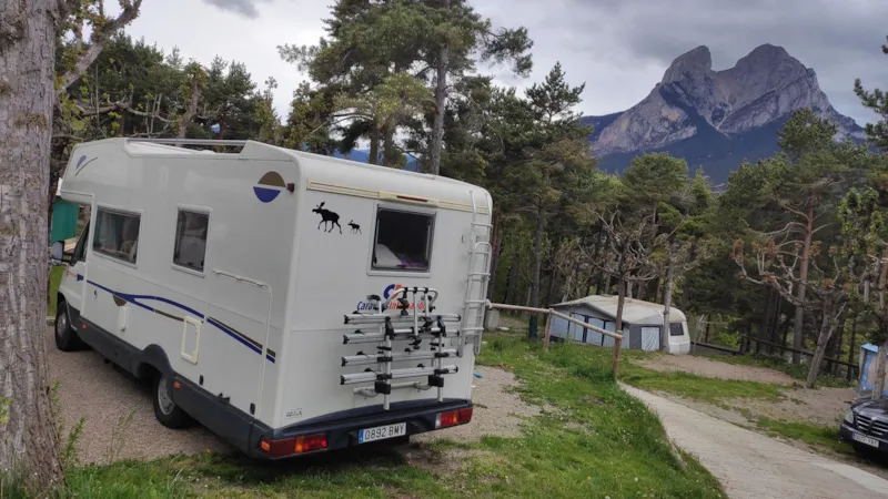 Emplacement Plus Forest- Petites Caravanes (7 M Max)