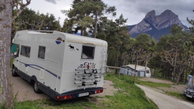 Pitch Plus Forest - Small caravans (max 7?m) — 3