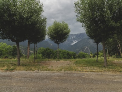Pitch Premium - No tents allowed — 2
