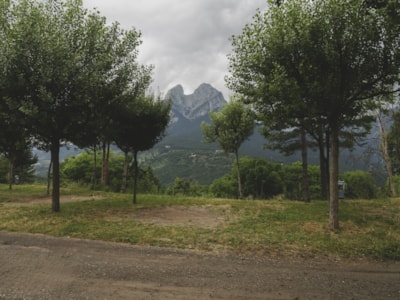 Pitch Premium - No tents allowed — 1