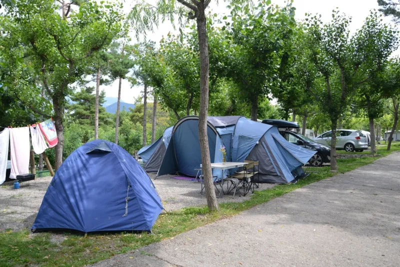 Emplacement Standard Forest - Petits Vans (Non Accessible Aux Caravanes)