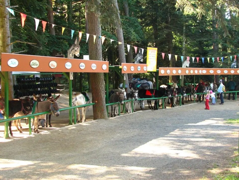 Camping du lac d'Aydat