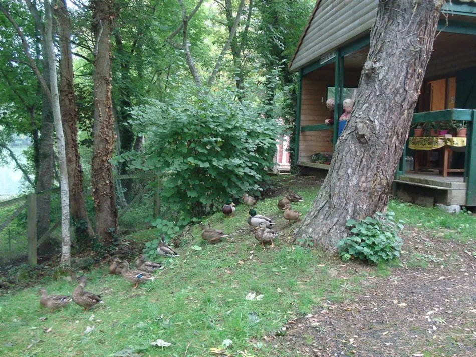 Camping du lac d'Aydat