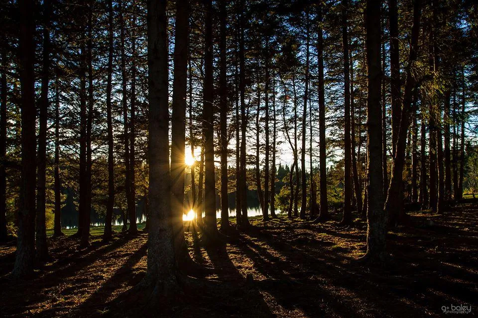 Camping du lac d'Aydat