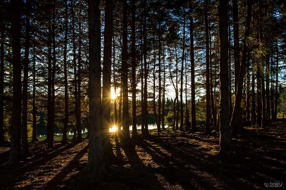 Camping du lac d'Aydat