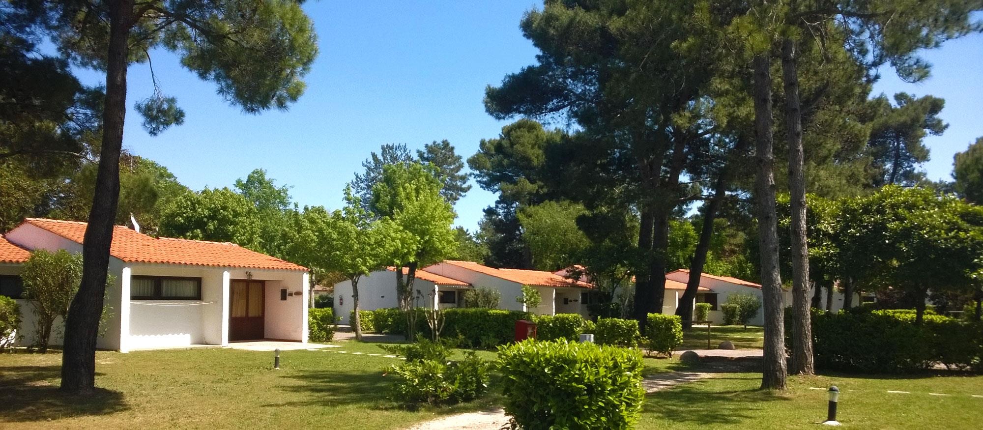 Residence Punta Spin — Photo 3