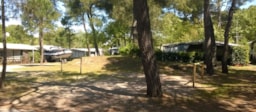 Kampeerplaats(en) - Kampeerplaats 'A' + Tent, Caravan Of Camper +  Elektriciteit - Residence Punta Spin