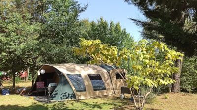 Camping Pitch incl. 10 amps electricity and car