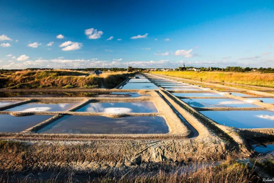 Camping Mirabel La Baie de Cayola