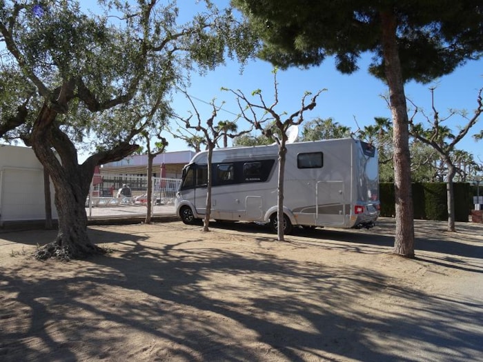 Emplacement Standard: Voiture + Tente/Caravane Ou Camping-Car + Électricité 5A