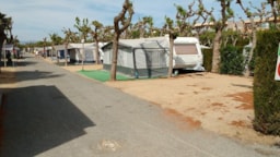 Parcela - Parcela Standard: Coche + Tienda/Caravana O Autocaravana + Electricidad 5A - Camping Platja Cambrils