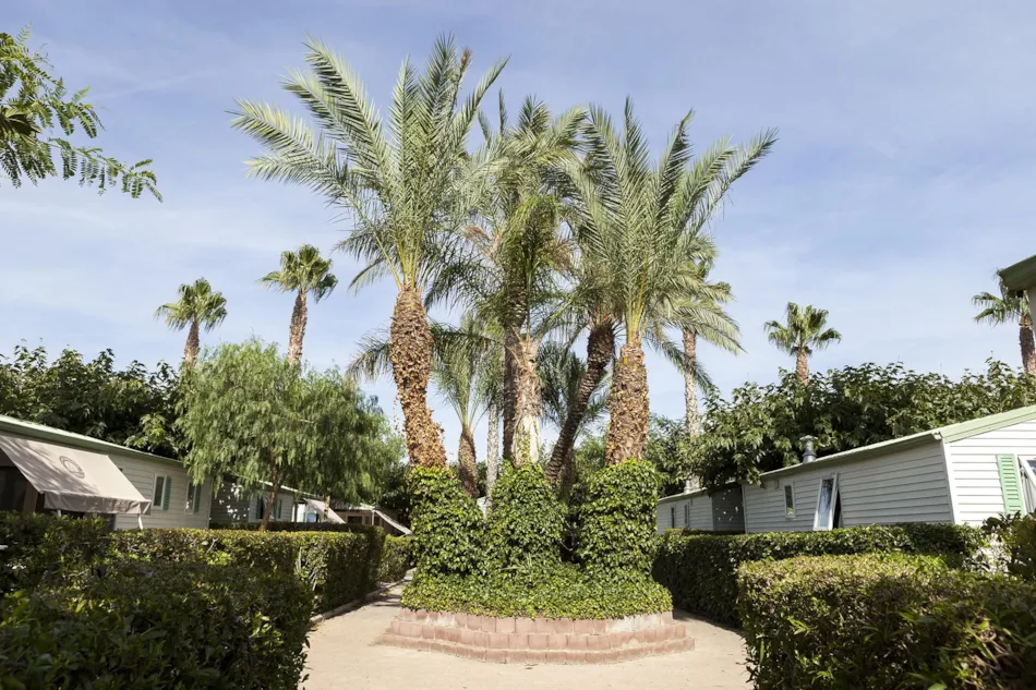 Camping Platja Cambrils