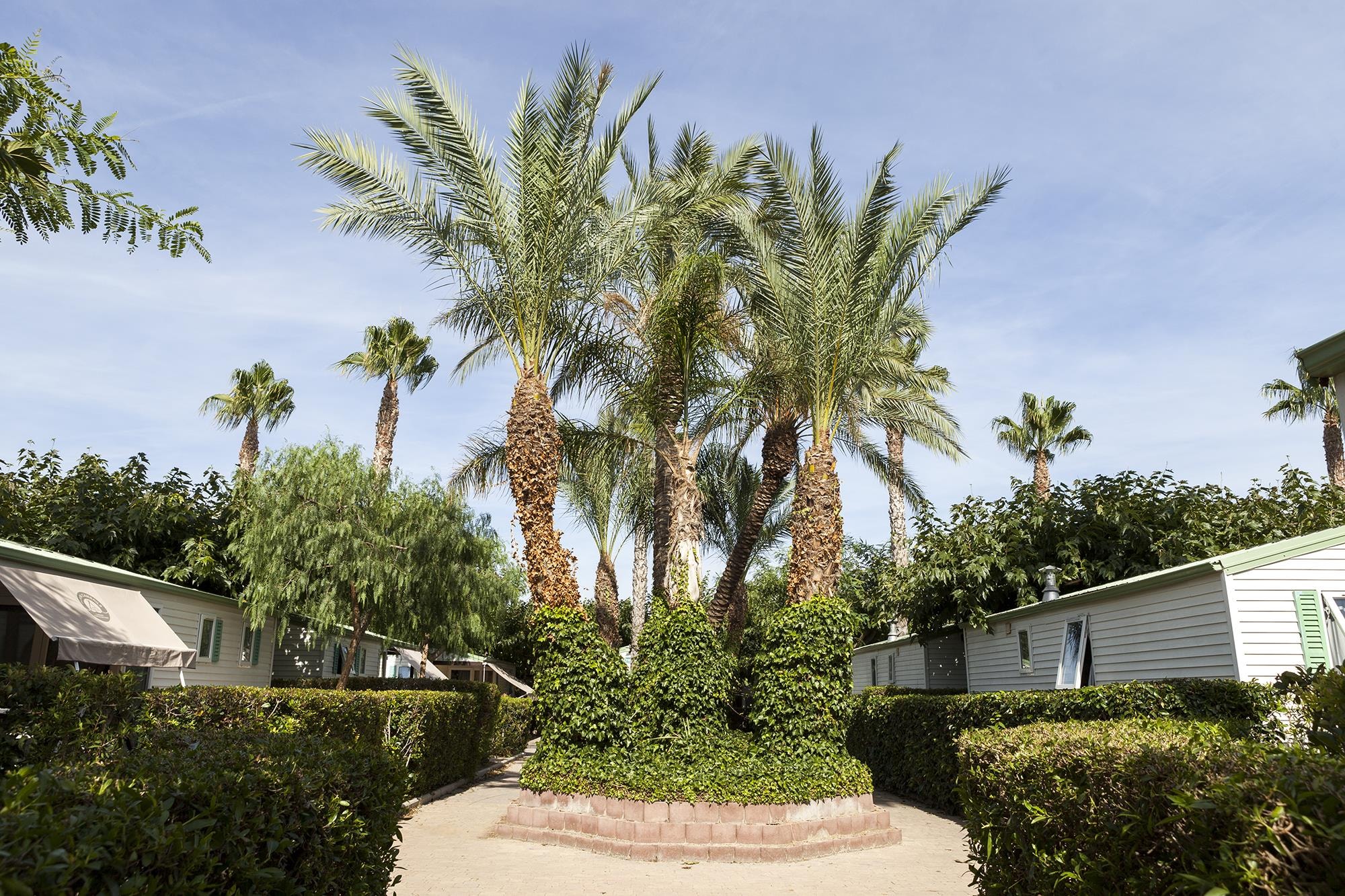 Camping Platja Cambrils — Foto 4