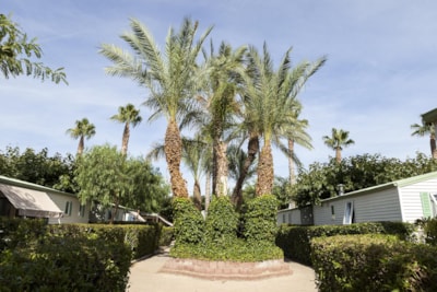 Camping Platja Cambrils