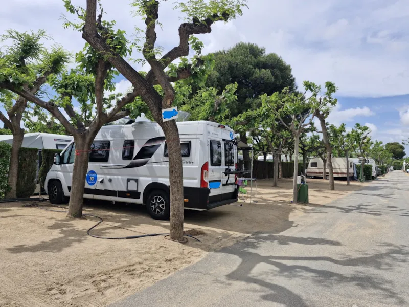 Emplacement Standard: Voiture + Tente/Caravane Ou Camping-Car + Électricité 5A