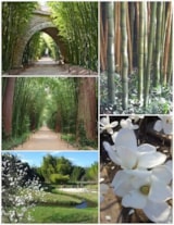 Foto #34 van Camping Le Parc