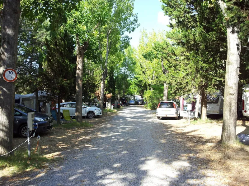 Emplacement Confort : Forfait 1 À 2 Pers. - Électricité 10 A -1 Voiture, 1 Empl, (4 Adultes Max)- Accés Aire De Vidange