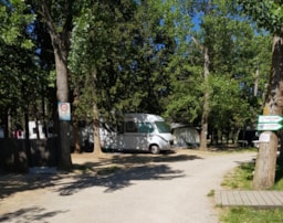 Kampeerplaats(en) - Standplaats Elektriciteit 10A : Price For 1/2 Pers, 1 Car, 1 Pitch (4 Adults Max) - CAMPING LE PARC